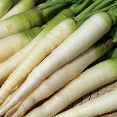 - Kopie - Kopie - Kopie - Kopie