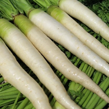 - Kopie - Kopie - Kopie - Kopie