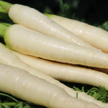 - Kopie - Kopie - Kopie - Kopie