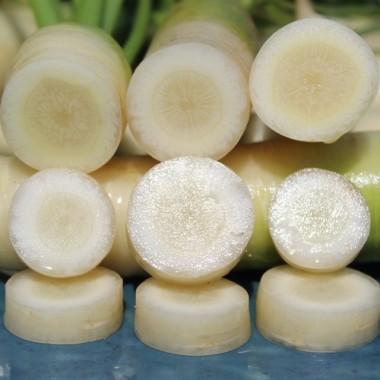 - Kopie - Kopie - Kopie - Kopie