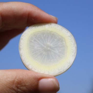 - Kopie - Kopie - Kopie - Kopie