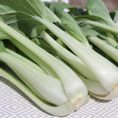 Pak Choi Tai Sai (Samen)