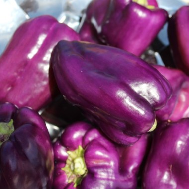 Paprika Amethyst (Samen)