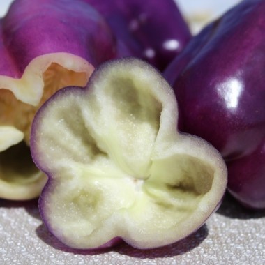 Paprika Amethyst (Samen)