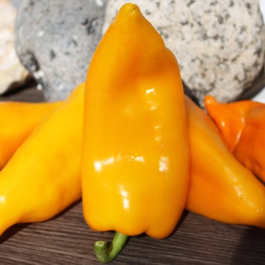 Paprika Corno Giallo (Samen)