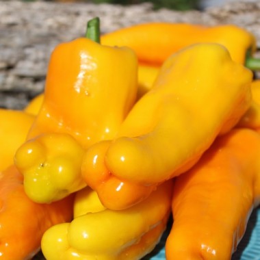 Neu! Paprika Damu Prieks (Samen)