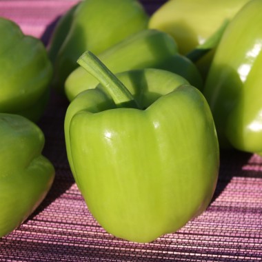 Paprika Dolma Kandil (Samen)