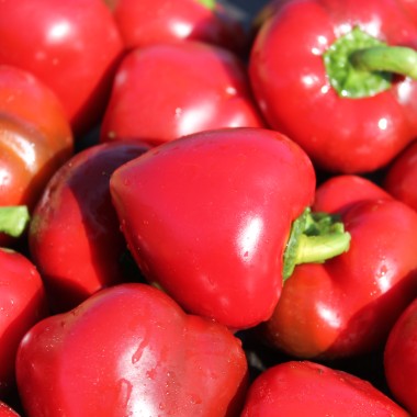 Paprika Dumas (freilandgeeignet) (Samen)