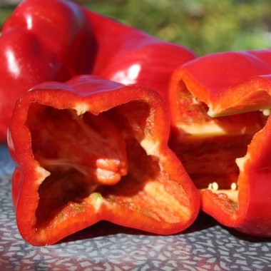 Paprika Infantes (Samen)