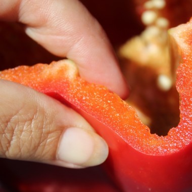 Paprika Infantes (Samen)