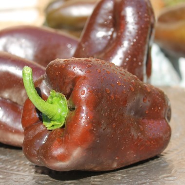Paprika Karamel (Samen)