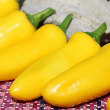 Neu! Paprika Lemon Dream (freilandgeeignet) (Samen)