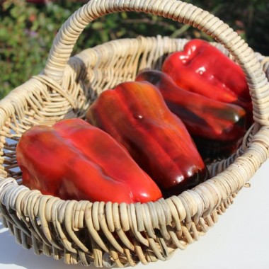 Preview: Neu! Paprika Monstrueux de Fréjus (Samen)