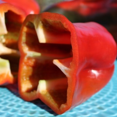 Neu! Paprika Monstrueux de Fréjus (Samen)