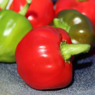Paprika Nora (Samen)