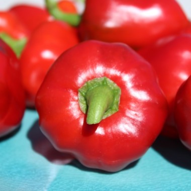 Paprika Nora (Samen)