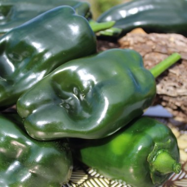 Preview: Neu! Paprika Permagreen (Samen)