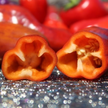 Neu! Paprika Perola Aurora (panaschierter Zwergpaprika) (Samen)