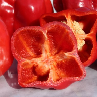 Paprika Quadrato d’Asti Rosso (Samen)