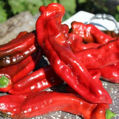 Paprika Ramiro Red (Samen)