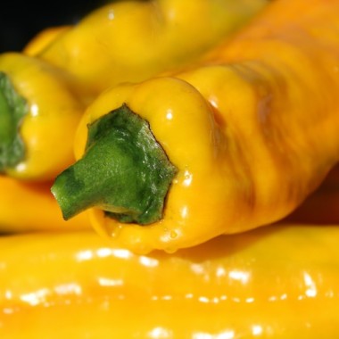 Neu! Paprika Ramiro Yellow (Samen)