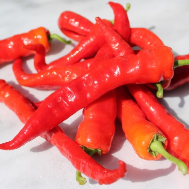 Paprika Romanian Sweet (Samen)