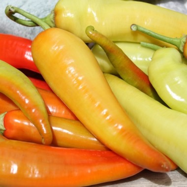 Paprika Sigaretta Bionda (Samen)