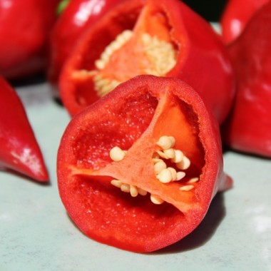 Neu! Paprika Zipfelmütze (freilandgeeignet) (Samen)