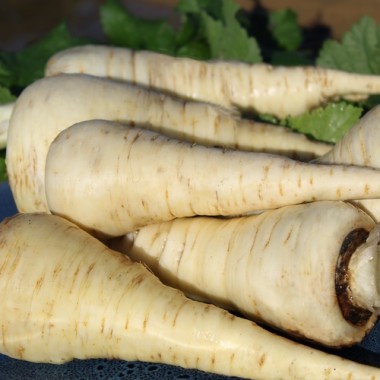 Pastinake Halblange Weiße (Samen)