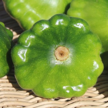 Patisson Okra (Samen)