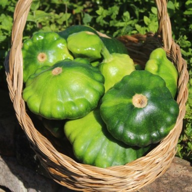 Patisson Okra (Samen)