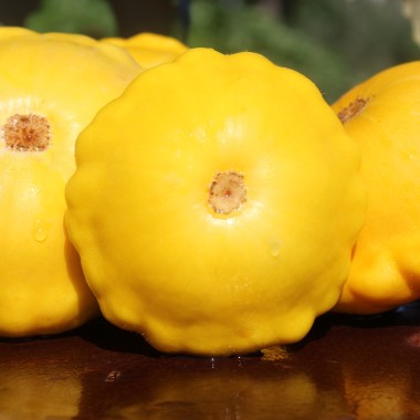 Patisson Yellow (Samen)