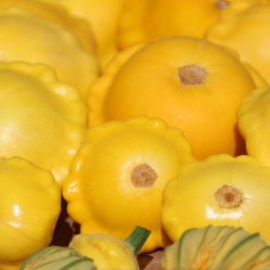 Patisson Yellow (Samen)