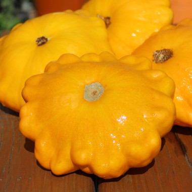 Patisson Yellow (Samen)
