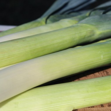 Porree Bulgarian Giant (Samen)