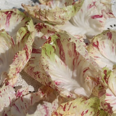 Radicchio Variegata di Lusia (Samen)