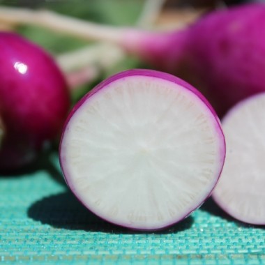 Radieschen Plum Purple (Samen)