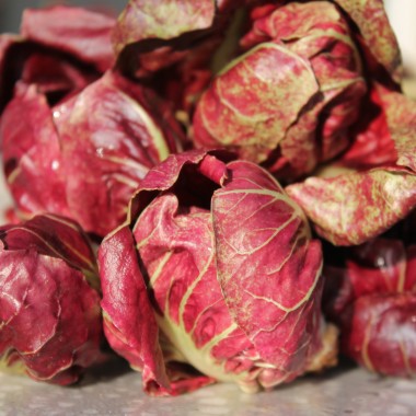 Rosen-Chicoree Goriziana o Rosa Isontina (Samen)