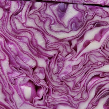 Rotkohl Cabeza Negra (Samen)