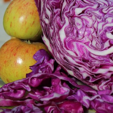 Rotkohl Mammoth Red Rock (Samen)