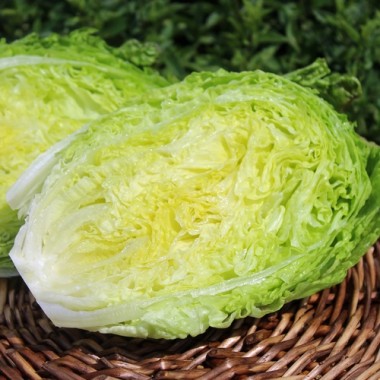 Neu! Salat Chrystal (Samen)
