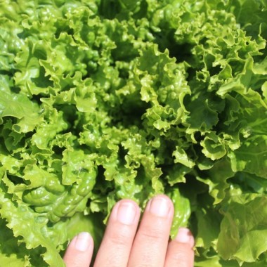 - Kopie - Kopie - Kopie - Kopie