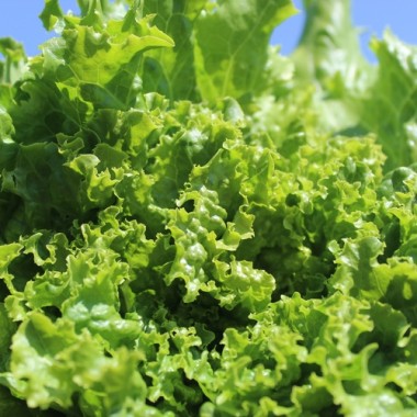 - Kopie - Kopie - Kopie - Kopie