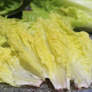 Salat Little Leprechaun (Samen)