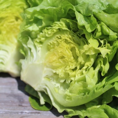 Salat Meraviglia d’Inverno (Wintersalat) (Samen)