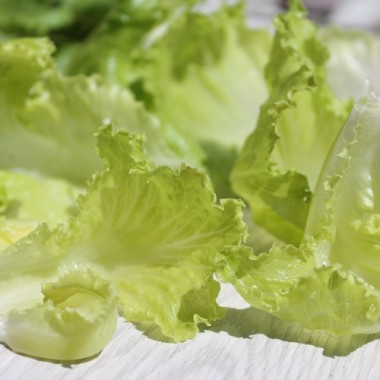 Eisbergsalat Pablo (Samen)