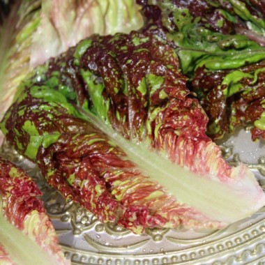Salat Total Clown (Samen)