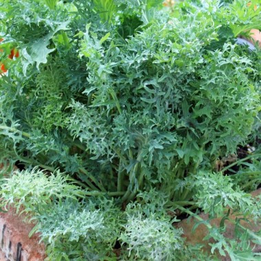 - Kopie - Kopie - Kopie - Kopie - Kopie