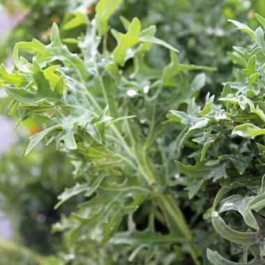 - Kopie - Kopie - Kopie - Kopie - Kopie