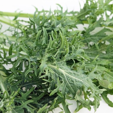 - Kopie - Kopie - Kopie - Kopie - Kopie